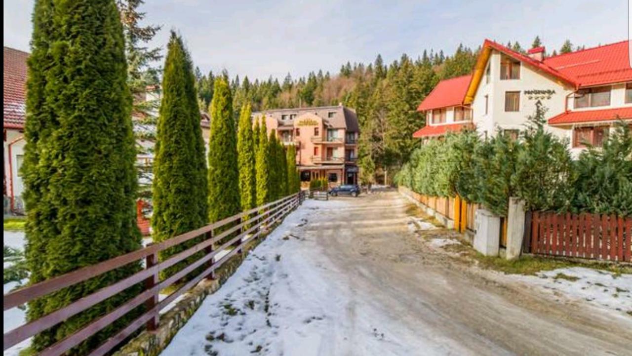 Apartament Andra Poiana Brašov Exteriér fotografie